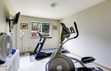 Mold home gym construction leads