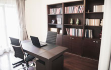 Mold home office construction leads